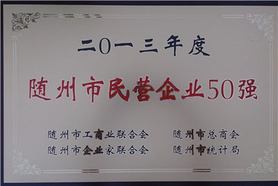 市民營企業(yè)50強(qiáng).jpg